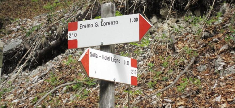 Scivola e ruzzola per decine di metri nel bosco, paura per un 11enne