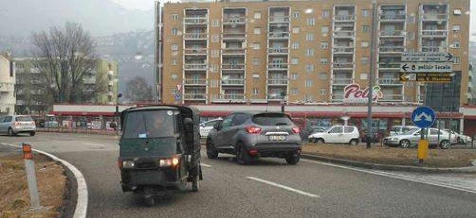 L'ape in contromano