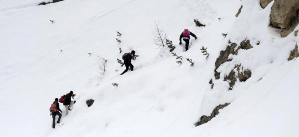 Migranti che cercavano di scappare in Francia sopra Bardonecchia Migranti che cercavano di scappare in Francia sopra Bardonecchia