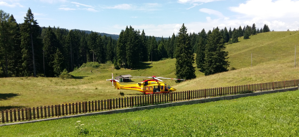 Paura a Folgaria, un boscaiolo è stato colpito da un grosso ramo