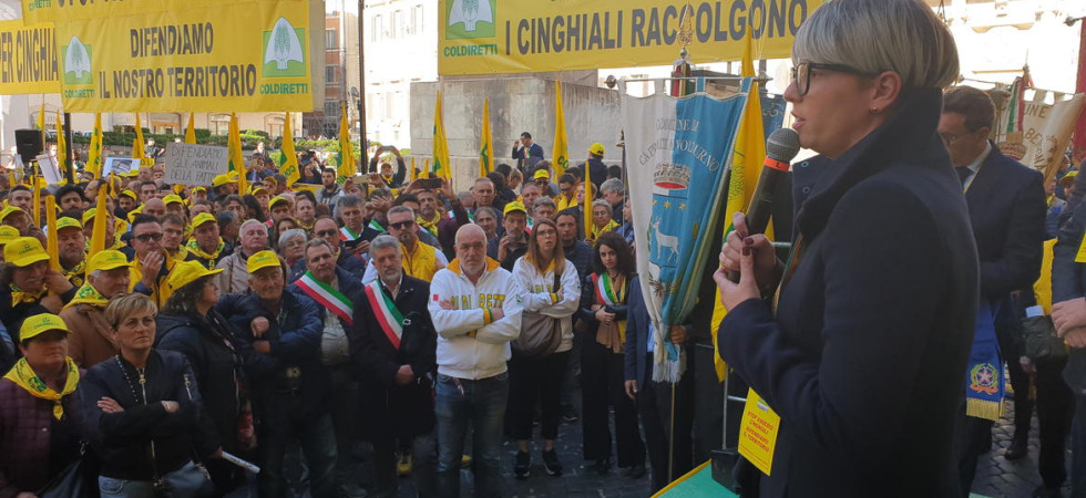 Grandi carnivori, in Trentino è cortocircuito: Zanotelli e Fugatti a Roma con Coldiretti (che manifesta contro i cinghiali)