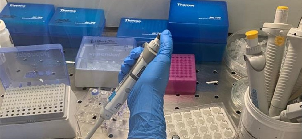 Coronavirus in Alto Adige, quattro morti in più rispetto a ieri e salgono a 37 i decessi in Regione