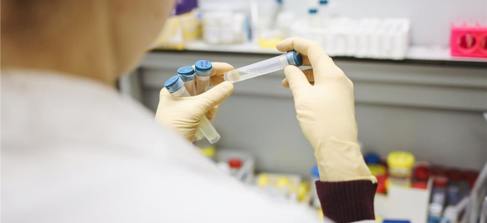 Coronavirus in Veneto, 20 nuovi morti nella notte