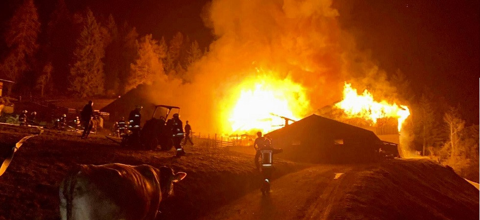 Un enorme incendio avvolge due fienili, salvate una quarantina di mucche