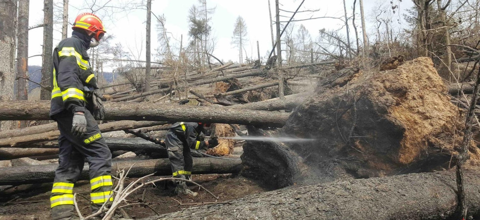 Foto vvf Levico Incendio a Levico, allarme per tre nuovi focolai