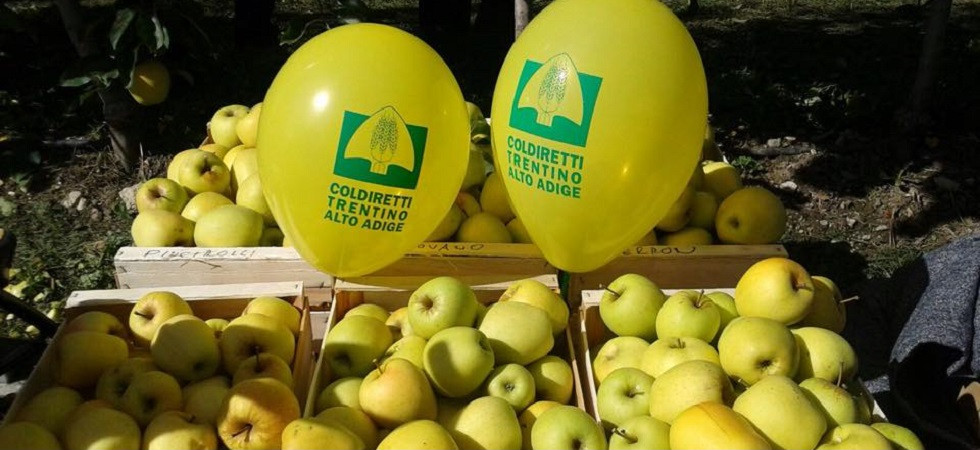 Coronavirus, Serve un piano Marshall per l'agricoltura