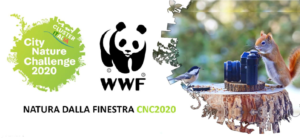 "Natura dalla finestra", una sfida internazionale e amichevole a colpi di foto per osservare flora e fauna senza uscire di