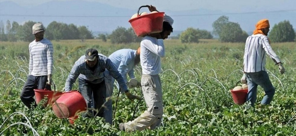 Coronavirus, i sindacati: “Regolarizzazione dei migranti risposta alla carenza di manodopera”