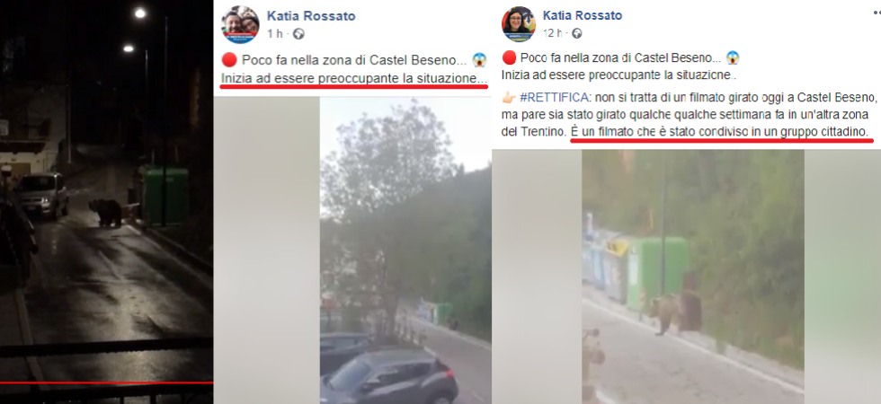 Se la consigliera leghista condivide una fake che crea allarme tra i cittadini e mette in pericolo l'orso e poi rettifica
