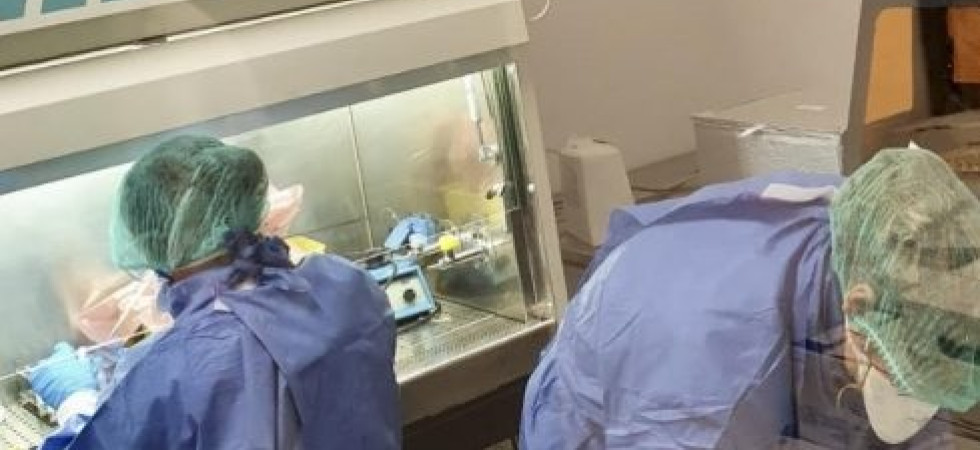 Coronavirus, in Alto Adige nessun contagio e zero decessi