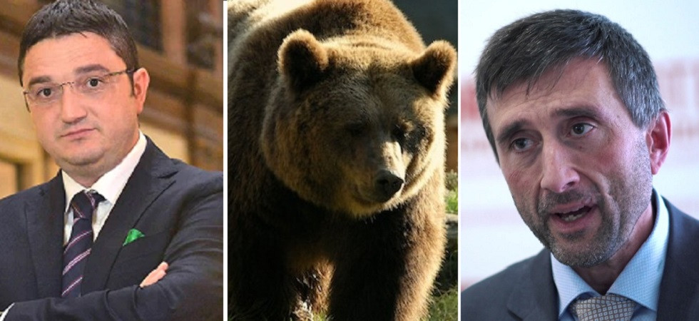 Abbattimento dell'orso, Dallapiccola: Ordinanza troppo affrettata e superficiale