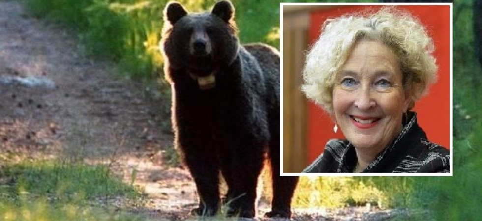 Abbattimento dell'orso, i Verdi: Autonomia non è licenza di uccidere