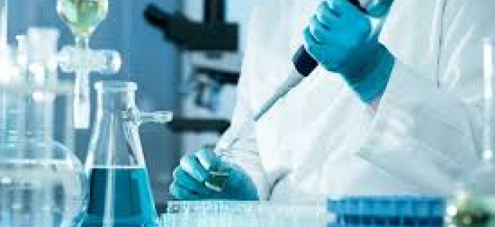 Coronavirus, si abbassa l'indice di trasmissione in Trentino ma resta più alto di Bolzano