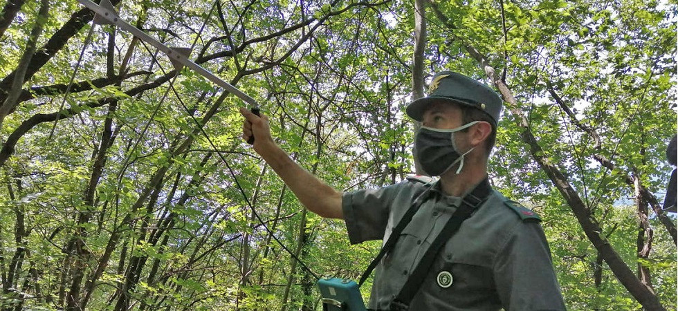 Fuga-bis di M49: Si trova sempre sulla Marzola''