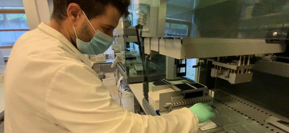 Coronavirus in Trentino, ci sono 2 nuovi positivi a fronte di 1.490 tamponi analizzati