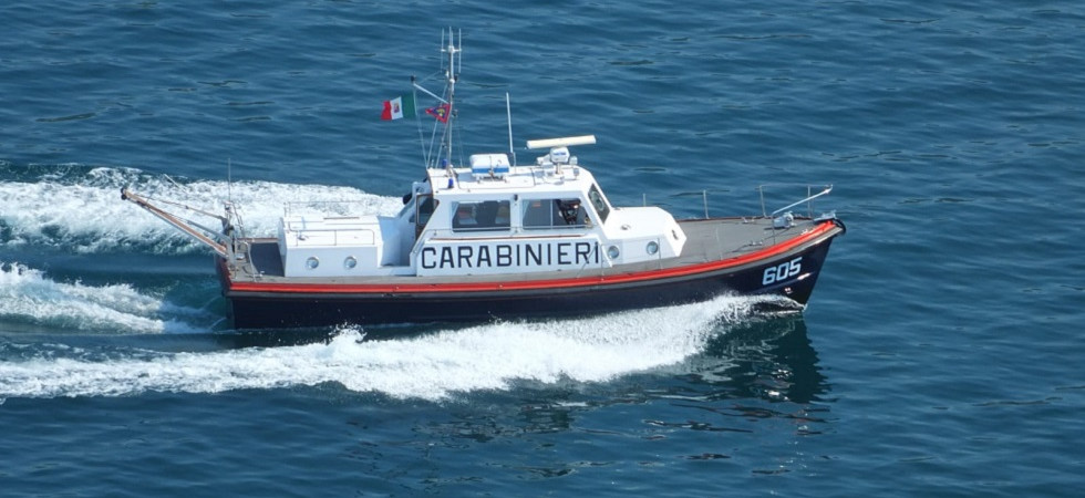 Trasporta sul Garda oltre 40 chili di pesce senza rispettare le norme igieniche