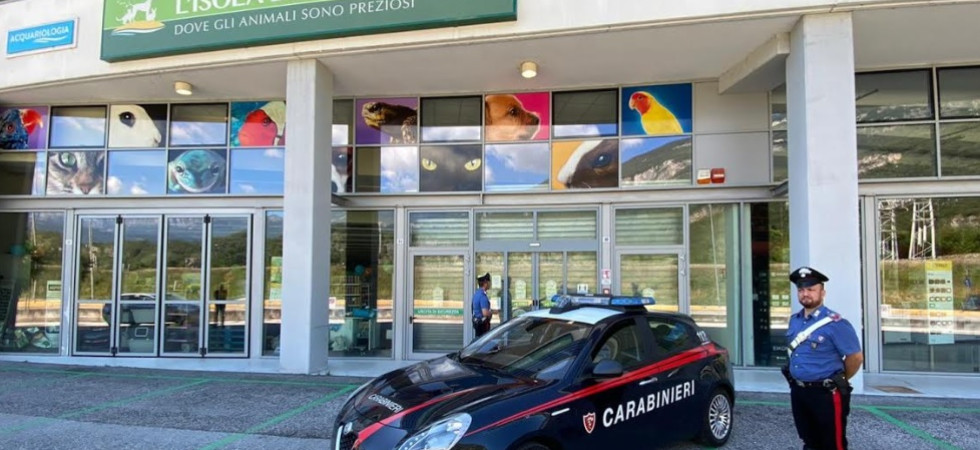 Tentano la rapina all'“Isola dei Tesori” ma i clienti li bloccano e chiamano i carabinieri