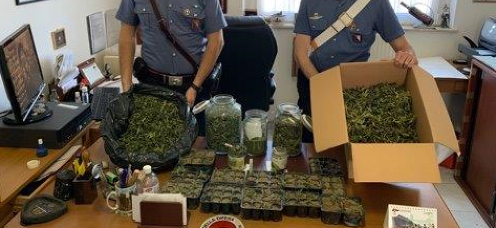 Lite tra vicini, i carabinieri calmano gli animi ma prima di andare via scoprono in giardino una piantagione di marijuana