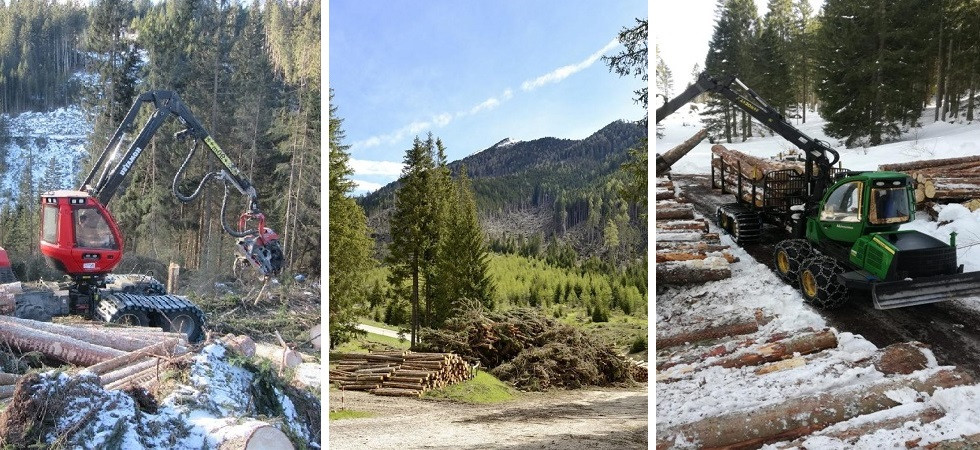 Post-Vaia, 24 nuovi tratti forestali (più 15 in arrivo) quasi 3 chilometri in zona protetta