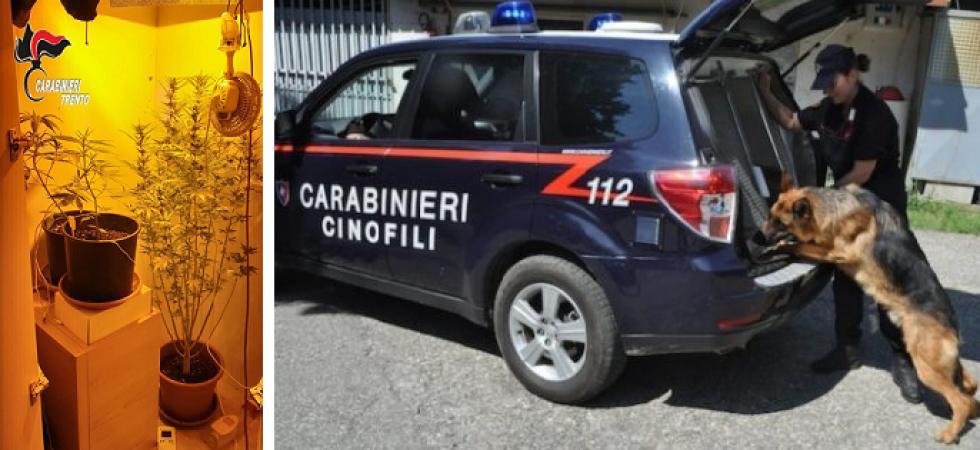 Serra in un armadio, denunciato un 16enne incensurato con hashish e marijuana in casa