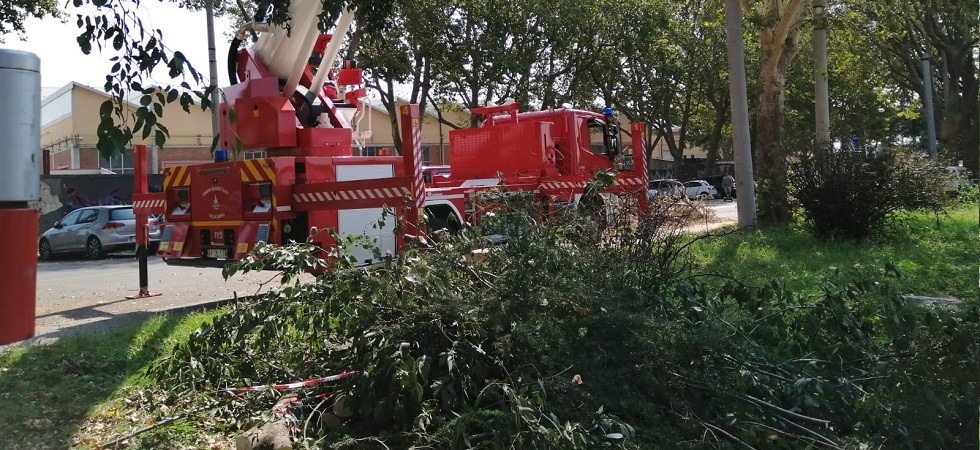 I vigili del fuoco della Vallagarina e dell'Alto Garda nel veronese colpito dal maltempo tra tagli piante e messa in