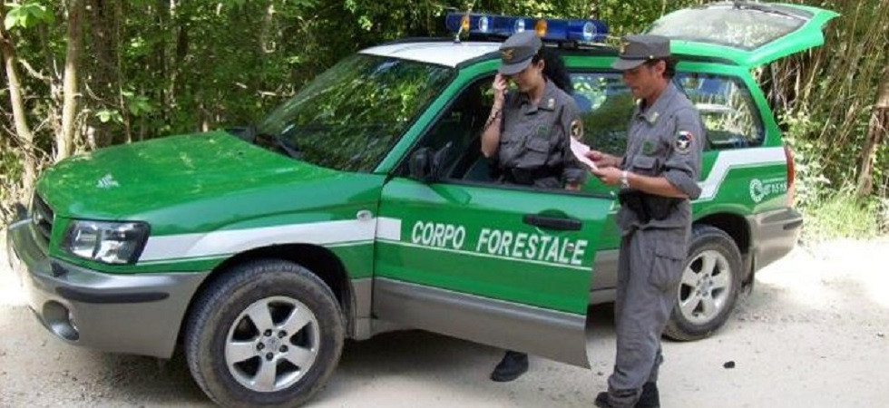 Rintracciati i due bracconieri che hanno abbattuto un camoscio nel Parco Nazionale dello Stelvio