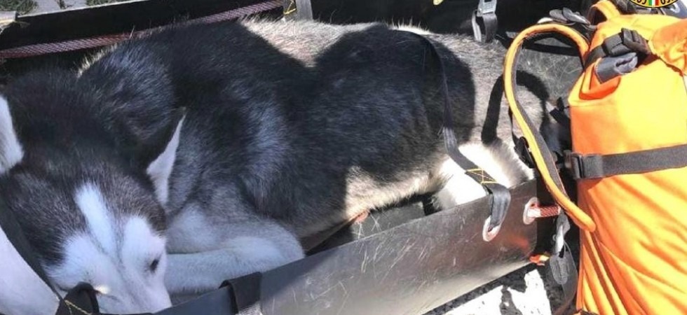Paura in montagna, due cani litigano e un 60enne cerca di dividerli ma cade da 3 metri