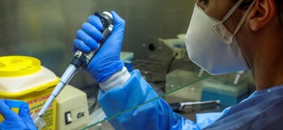Coronavirus, Il vaccino sia reso obbligatorio per tutti'' Italia Viva lancia la petizione