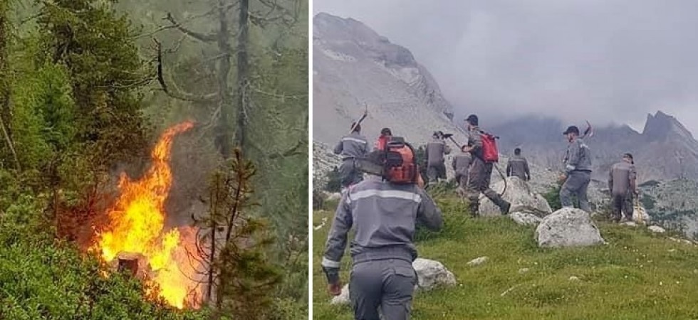 Un fulmine cade nel parco naturale e scoppia l'incendio