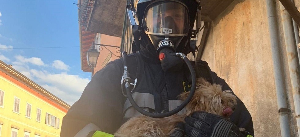 Fumo e fiamme in un appartamento, 4 squadre dei vigili del fuoco per gestire l'emergenza