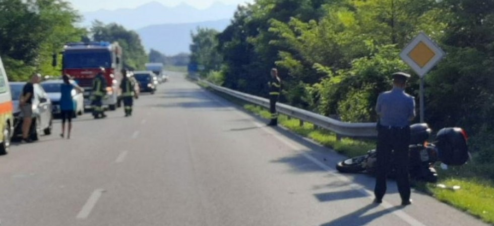 Capriolo in strada, l'auto frena e una moto la tampona