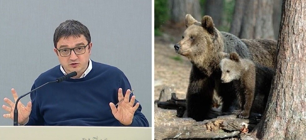Cattura Jj4, Lipu e Lac attaccano Fugatti: “No alla criminalizzazione dei grandi carnivori”