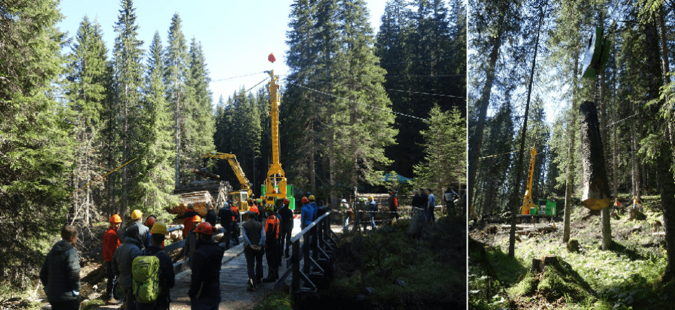 Recuperare gli alberi schiantati nei luoghi più impervi: partita la sperimentazione di una nuova teleferica