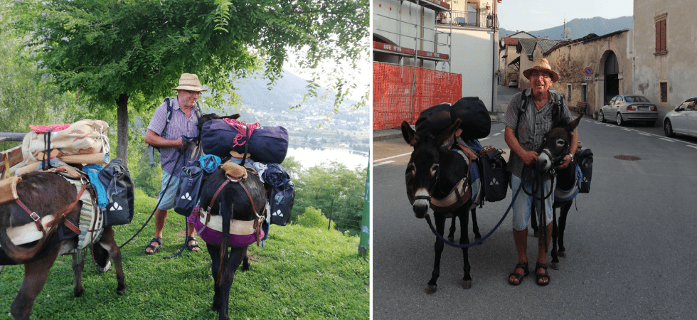 Da Monaco a Palermo, passando per il Trentino: il lungo viaggio di Trony e delle sue asinelle madre e figlia