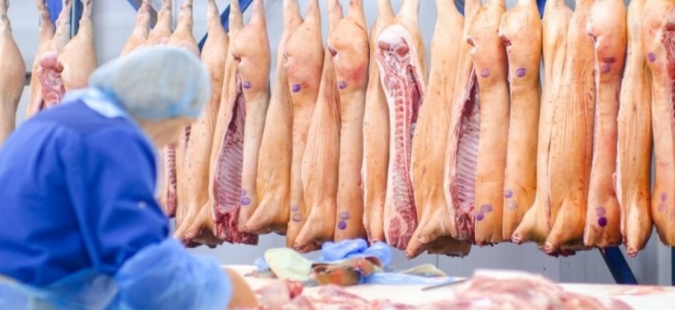 Coronavirus, altri 53 contagi in 24 ore
