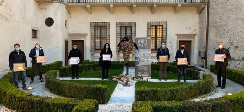 Credits to M.Facci Il concorso Müller Thurgau resiste alla pandemia