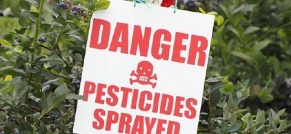 Pesticidi, sulla causa tra assessore, coltivatori e ambientalisti interviene il Consiglio d'Europa