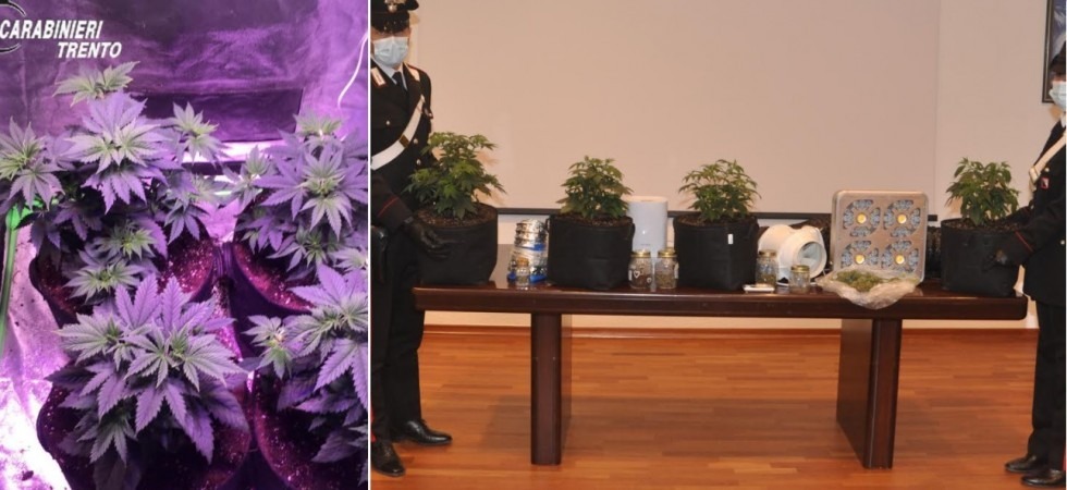 Trovato in casa con hashish, marijuana e altra droga sintetica, 31enne arrestato: dovrà pagare una multa di 6 mila euro
