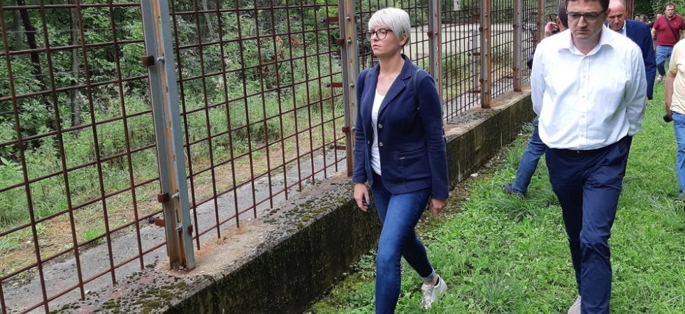 Orsi al Casteller, gli animalisti: Questa è tortura, ora Fugatti li liberi e si assuma le proprie responsabilità''