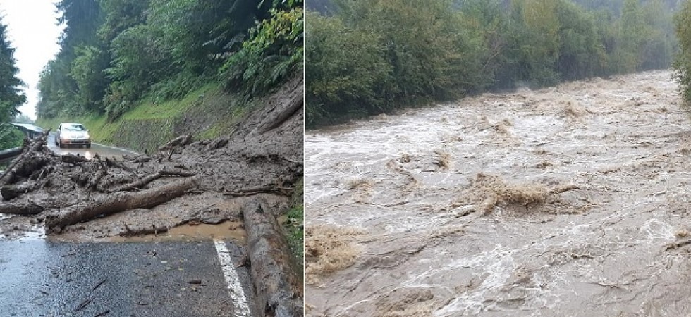 Maltempo, smottamenti e alberi sradicati