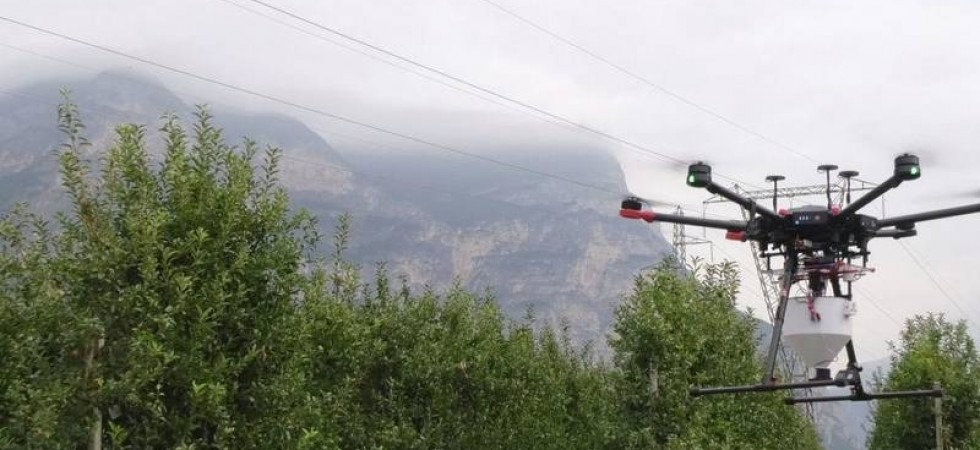 Danni ai meleti, droni in campo per rilasciare insetti sterili contro la mosca della frutta