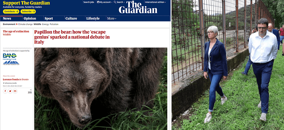 L'Oipa chiede il sequestro del Casteller e anche il Guardian si occupa di M49