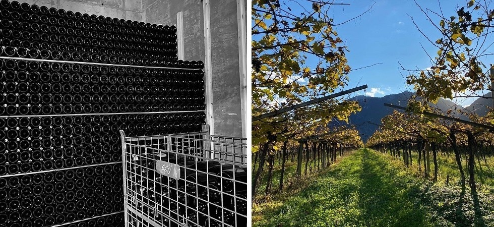 In arrivo il nuovo Trentodoc di Casa Revì: “Un affinamento inconsueto per la spumantistica”