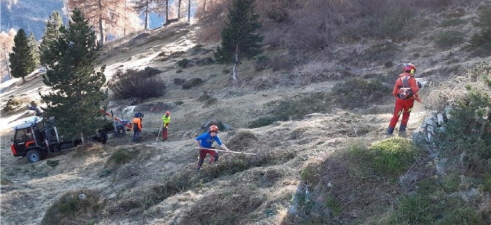 Studenti in campo per ripulire il verde: grazie al loro impegno un'area potrà essere di nuovo coltivata