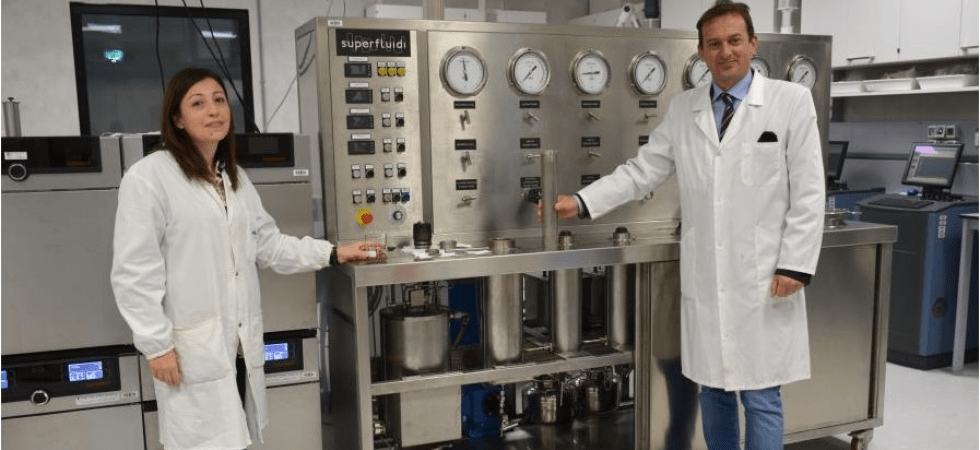 Dalle bucce di mela un gel con proprietà antiossidanti per l'industria alimentare e cosmetica