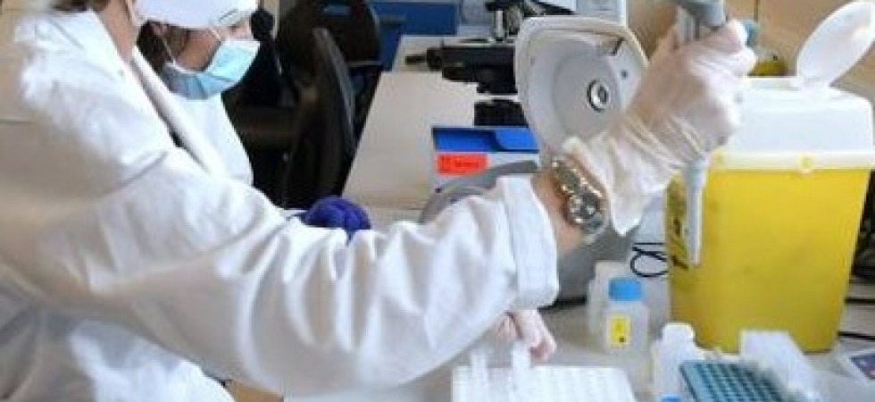 Coronavirus, a Vallelaghi i positivi all'antigenico sono dieci volte quelli rilevati con il molecolare