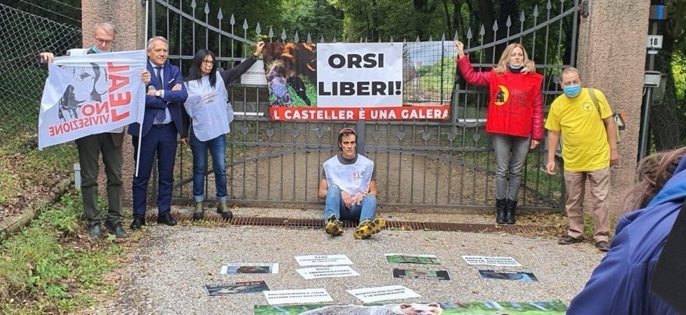 Foto d'archivio “Jj4 e i suoi cuccioli rimarranno liberi”, il Consiglio di Stato ribalta il giudizio del Tar: accolto il ricorso della Leal