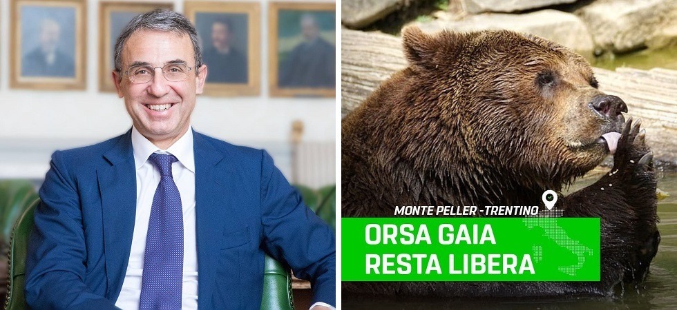Il ministro Costa contro Fugatti: “Gli orsi al Casteller?
