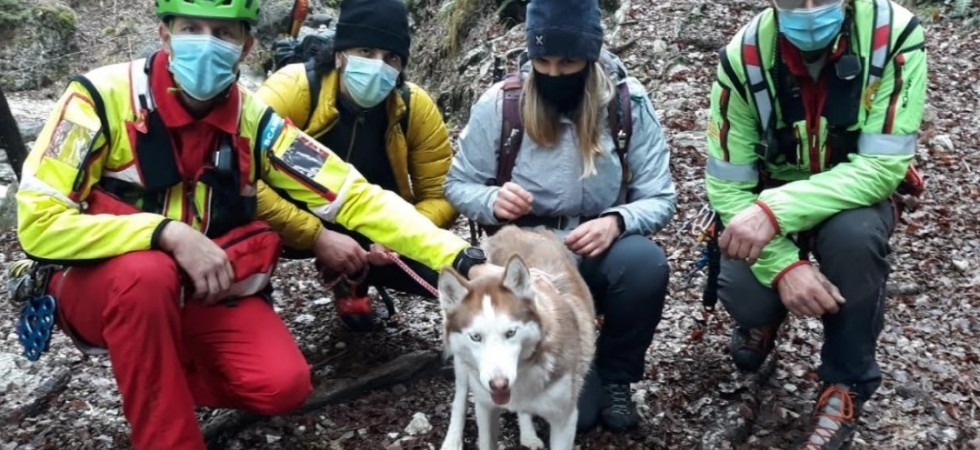 In salvo la cagnolina Maya, si era persa nel bosco e il Soccorso Alpino è riuscito a ritrovarla