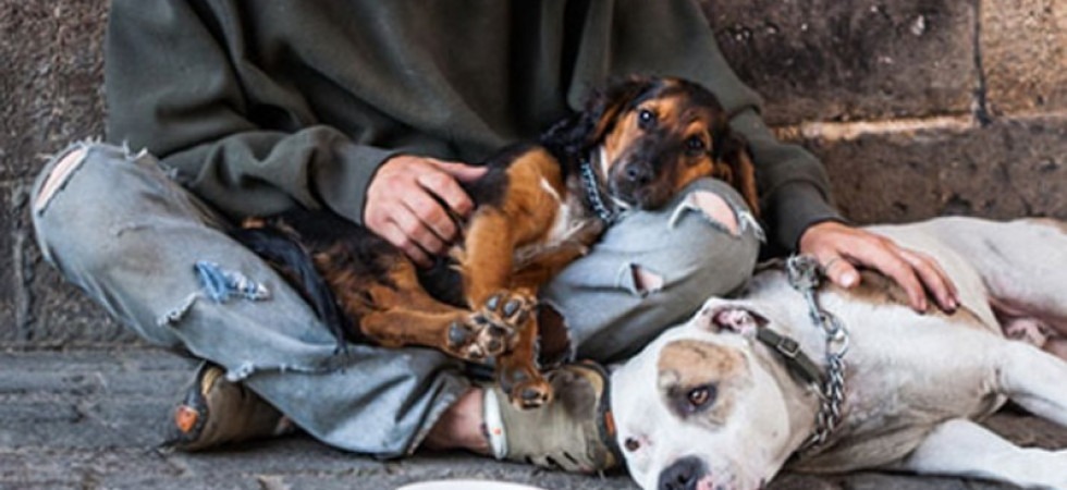 Lav in soccorso di Alex il senzatetto e del suo cane Ares
